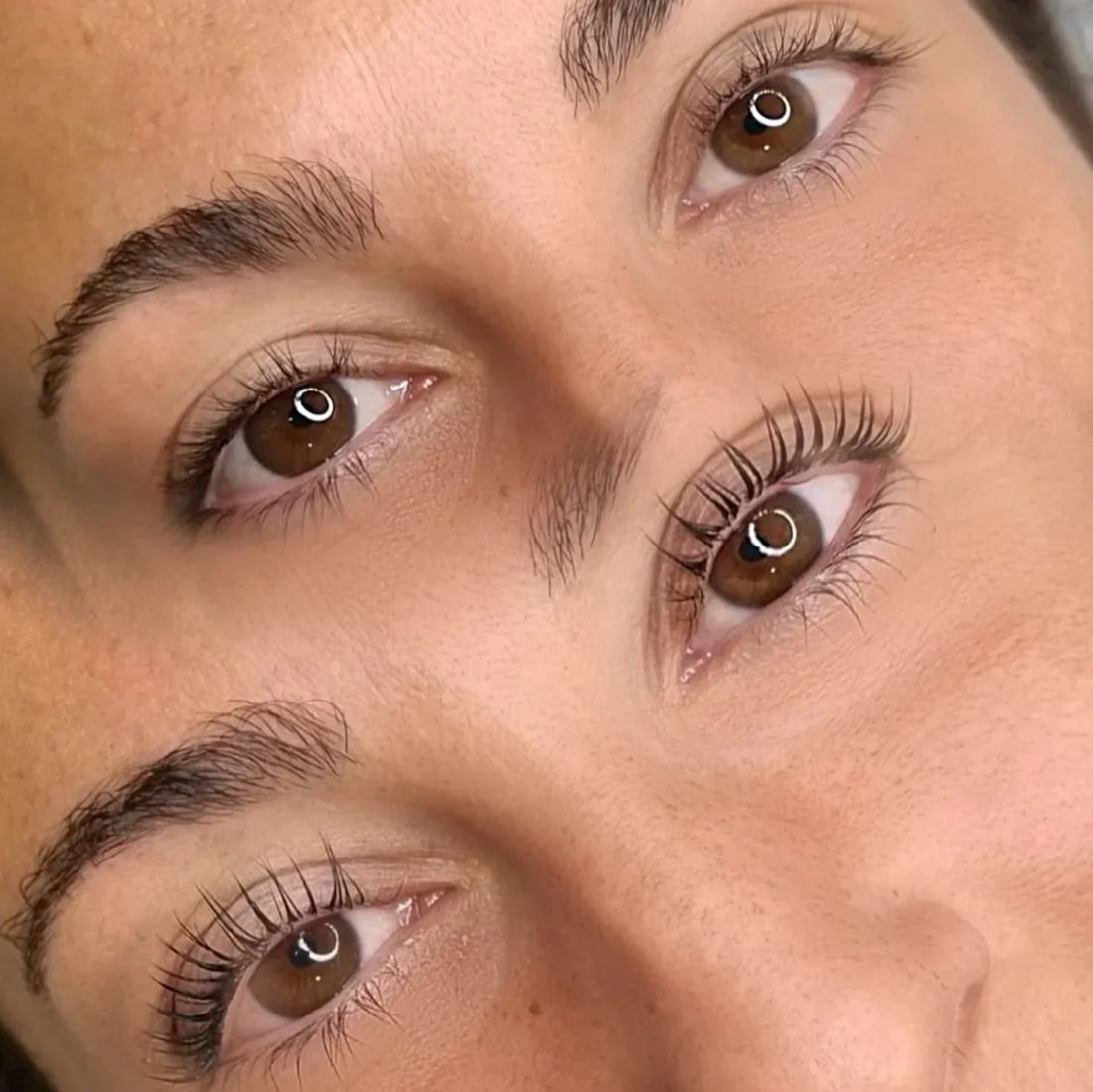 Lash Lift vs Extensions de Cils: Quelle technique pour un regard sublime ?